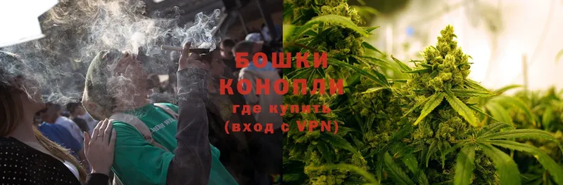 Шишки марихуана OG Kush  Колпашево 